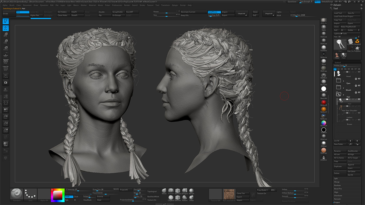 Download polygon hair for Zbrush 